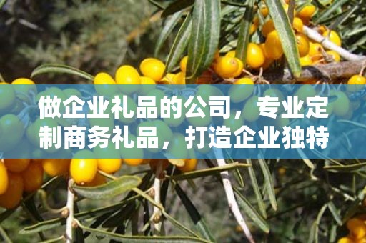做企业礼品的公司，专业定制商务礼品，打造企业独特形象