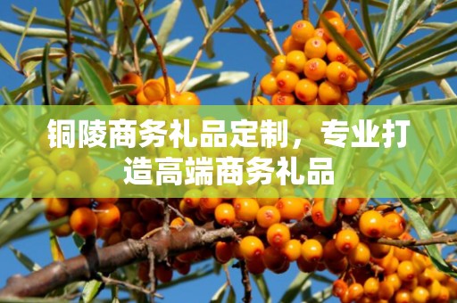 铜陵商务礼品定制，专业打造高端商务礼品